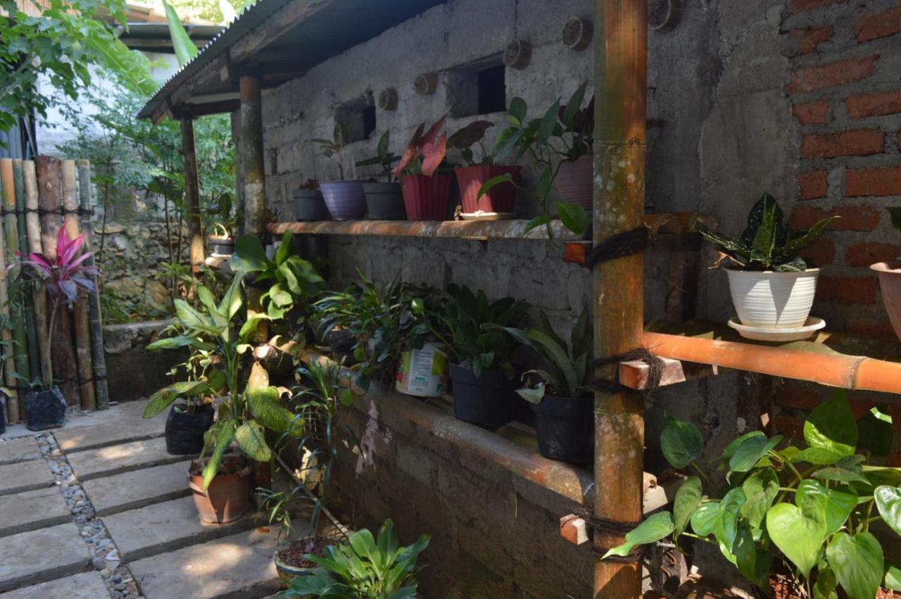 Labuan Bajo Mahoni Guesthouse ภายนอก รูปภาพ
